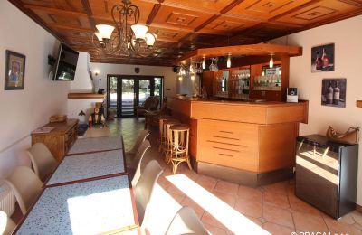 Herrenhaus/Gutshaus kaufen Levín, Ústecký kraj, Foto 6/19