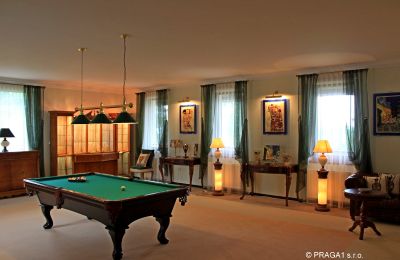 Schloss kaufen Karlovy Vary, Karlovarský kraj, Foto 8/14