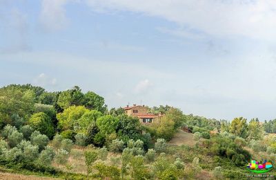 Landhaus kaufen Livorno, Toskana, Foto 15/16