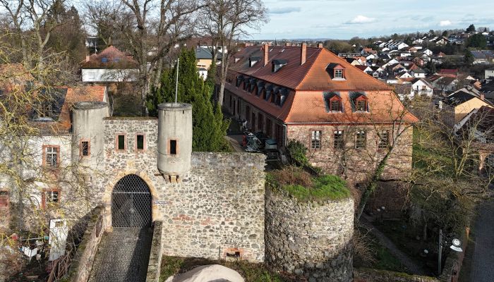 Schloss Nidderau 1