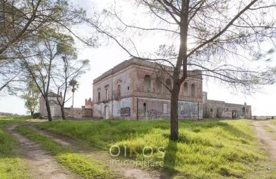 Herrenhaus/Gutshaus kaufen Manduria, Apulien, Foto 37/38