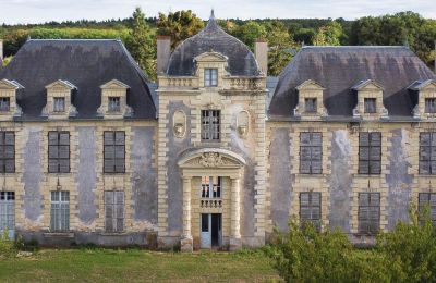 Charakterimmobilien, Château bei Loudun, Neu-Aquitanien, erstklassige Architektur, 26 Hektar