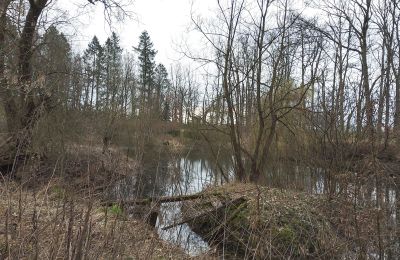 Herrenhaus/Gutshaus kaufen Drawno, Westpommern, Teich/See