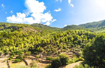 Herrenhaus/Gutshaus kaufen Estellencs, Balearische Inseln, Aussicht