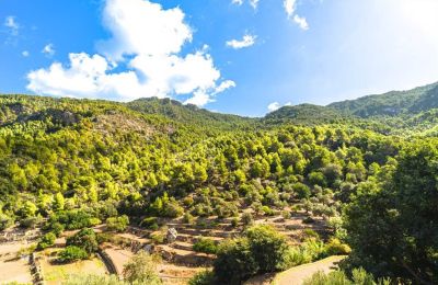 Herrenhaus/Gutshaus kaufen Estellencs, Balearische Inseln:  Aussicht