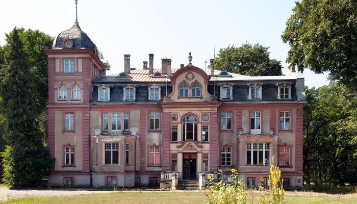 Schloss Brzeźnica, Lebus