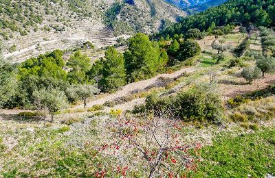 Historische Villa kaufen Relleu, Valencia, Foto 21/24