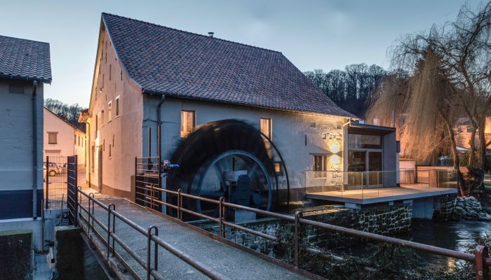 Mühle 3770 Kanne, Flandern