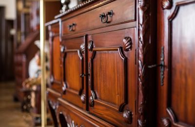 Schloss kaufen Ornontowice, Zamkowa, Schlesien, Details