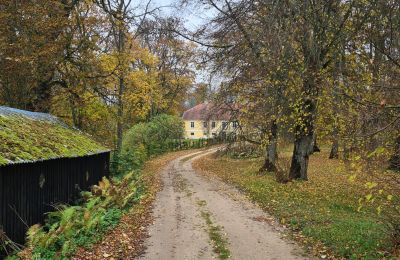 Herrenhaus/Gutshaus kaufen Laidi, Rudes muiža, Kurland, Zufahrt