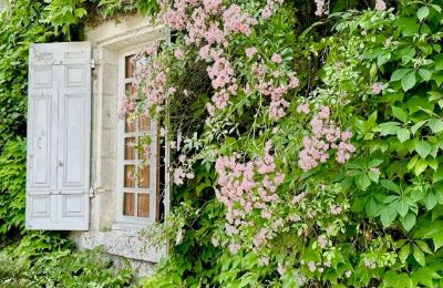 Schloss kaufen Zentrum-Loiretal, Foto 11/12