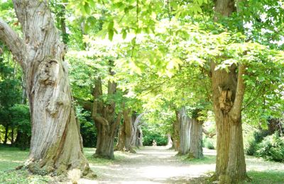 Schloss kaufen Zentrum-Loiretal, Foto 12/12