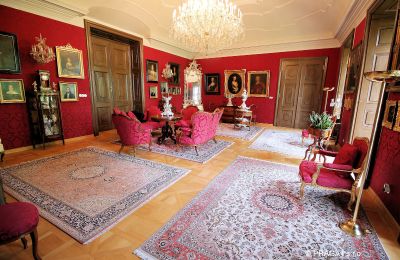 Schloss kaufen Kraj Vysočina, Salon