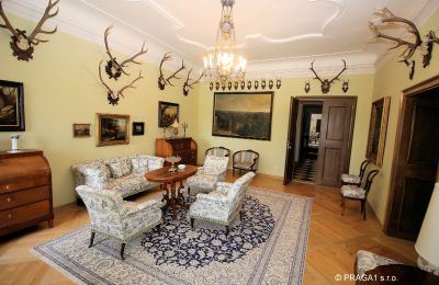 Schloss kaufen Kraj Vysočina, Foto 13/19