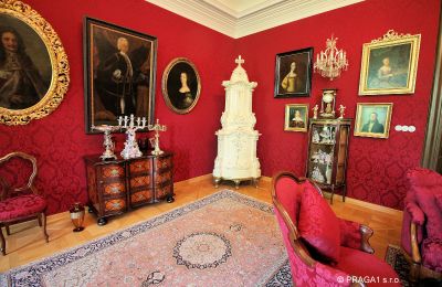 Schloss kaufen Kraj Vysočina, Antiquitäten