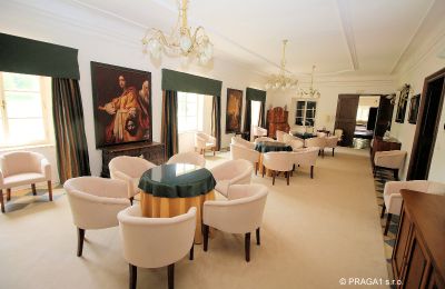 Schloss kaufen Kraj Vysočina, Großer Saal