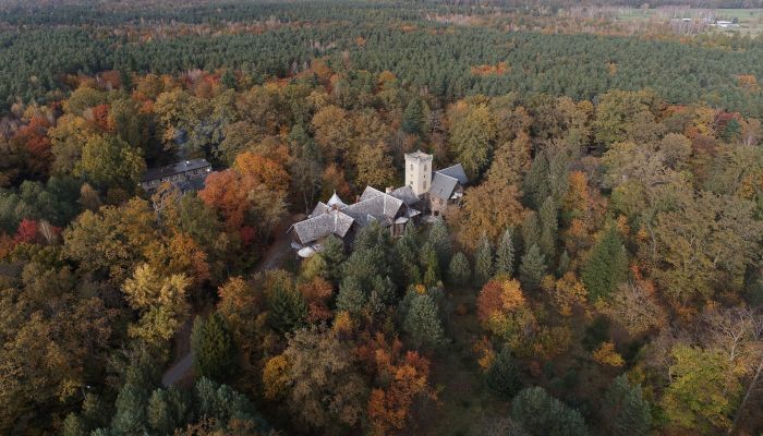 Schloss Sośnie, Großpolen