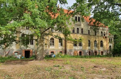 Wir kaufen ein altes Schloss, Rückansicht