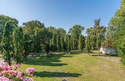 Schloss kaufen Mgowo, Pałac w Mgowie, Kujawien-Pommern, Park