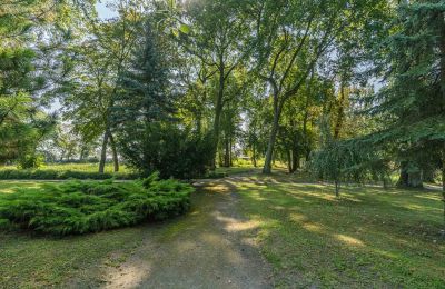 Schloss kaufen Mgowo, Pałac w Mgowie, Kujawien-Pommern, Grundstück