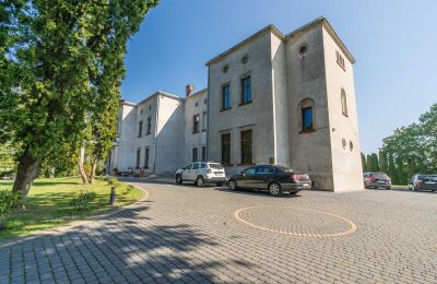 Schloss kaufen Mgowo, Pałac w Mgowie, Kujawien-Pommern, Foto 13/17