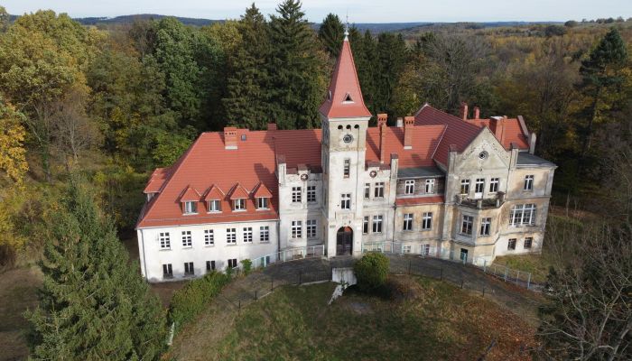Schloss kaufen Grabiszyce Średnie, Niederschlesien,  Polen