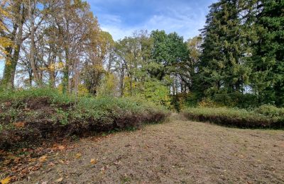Schloss kaufen Grabiszyce Średnie, Niederschlesien, Foto 20/23