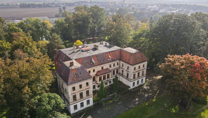 Schloss kaufen Wojnowice, Schlesien,  Polen