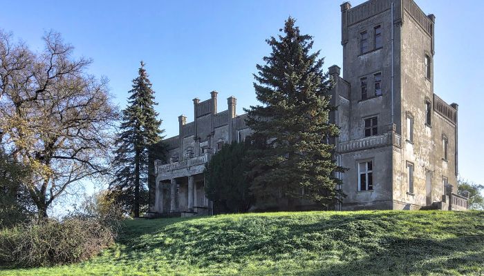 Schloss kaufen Górki Dąbskie, Kujawien-Pommern,  Polen