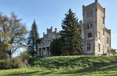 Schloss kaufen Górki Dąbskie, Pałac w Górkach Dąbskich, Kujawien-Pommern, Außenansicht