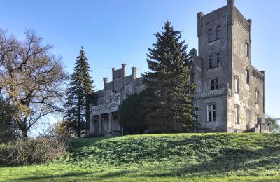 Schloss Górki Dąbskie, Kujawien-Pommern