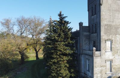 Schloss kaufen Górki Dąbskie, Pałac w Górkach Dąbskich, Kujawien-Pommern, Gebäude mit Turm