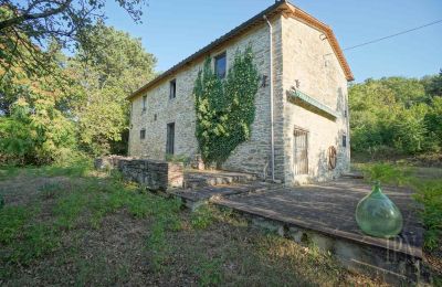 Historische Immobilie kaufen 06014 Montone, Umbrien, Foto 14/35