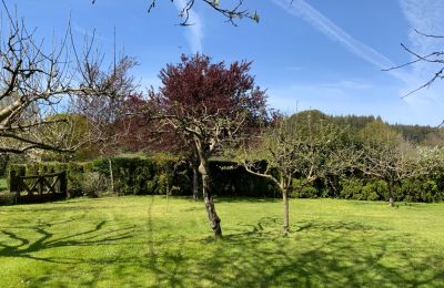 Landhaus kaufen Melide, Cabazás, Galizien, Garten