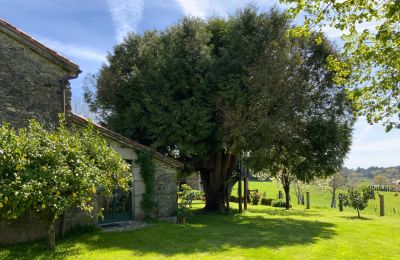 Landhaus kaufen Melide, Cabazás, Galizien, Terraza y jardín