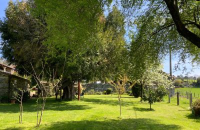 Landhaus kaufen Melide, Cabazás, Galizien, Garten