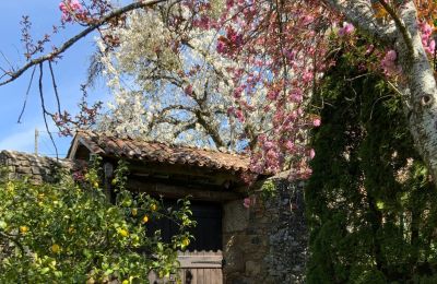 Landhaus kaufen Melide, Cabazás, Galizien, Kutscheneinfahrt