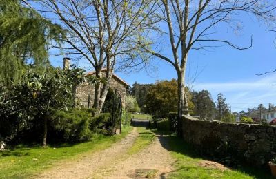 Landhaus kaufen Melide, Cabazás, Galizien, Acceso principal a la propiedad