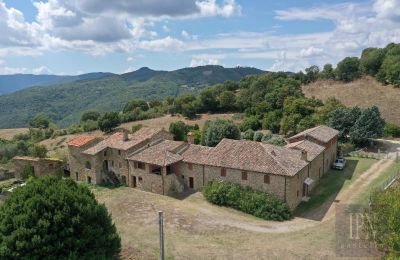 Landhaus kaufen Città di Castello, Umbrien, Foto 14/48