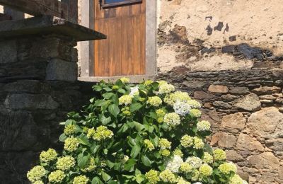 Landhaus kaufen Moeche, Sta Cruz de Moeche, Galizien, Detalle