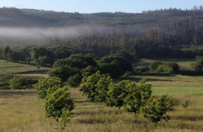 Landhaus kaufen Moeche, Sta Cruz de Moeche, Galizien, Lage der Immobilie