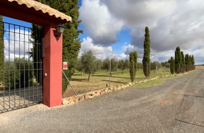 Landhaus kaufen Almagro, Almagro, Kastilien-La Mancha, Zufahrt
