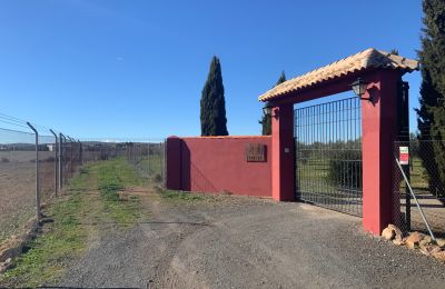 Landhaus kaufen Almagro, Almagro, Kastilien-La Mancha, Entrada