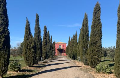 Landhaus kaufen Almagro, Almagro, Kastilien-La Mancha, Entrada arbolada con cipreses