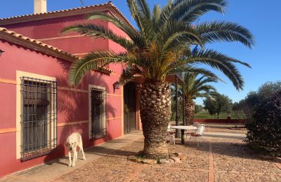 Landhaus kaufen Almagro, Almagro, Kastilien-La Mancha, Fachada