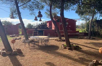 Landhaus kaufen Almagro, Almagro, Kastilien-La Mancha, Grundstück
