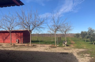 Landhaus kaufen Almagro, Almagro, Kastilien-La Mancha, Propiedad con almendros