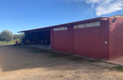 Landhaus kaufen Almagro, Almagro, Kastilien-La Mancha, Garaje