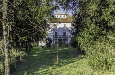 Historische Villa kaufen Pontedera, Toskana, Zufahrt