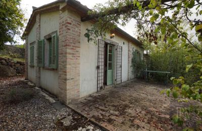 Landhaus kaufen 06010 Monte Santa Maria Tiberina, Umbrien, Foto 45/50